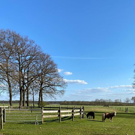 Ferienhof Westermann Waldblick Lähden Kültér fotó