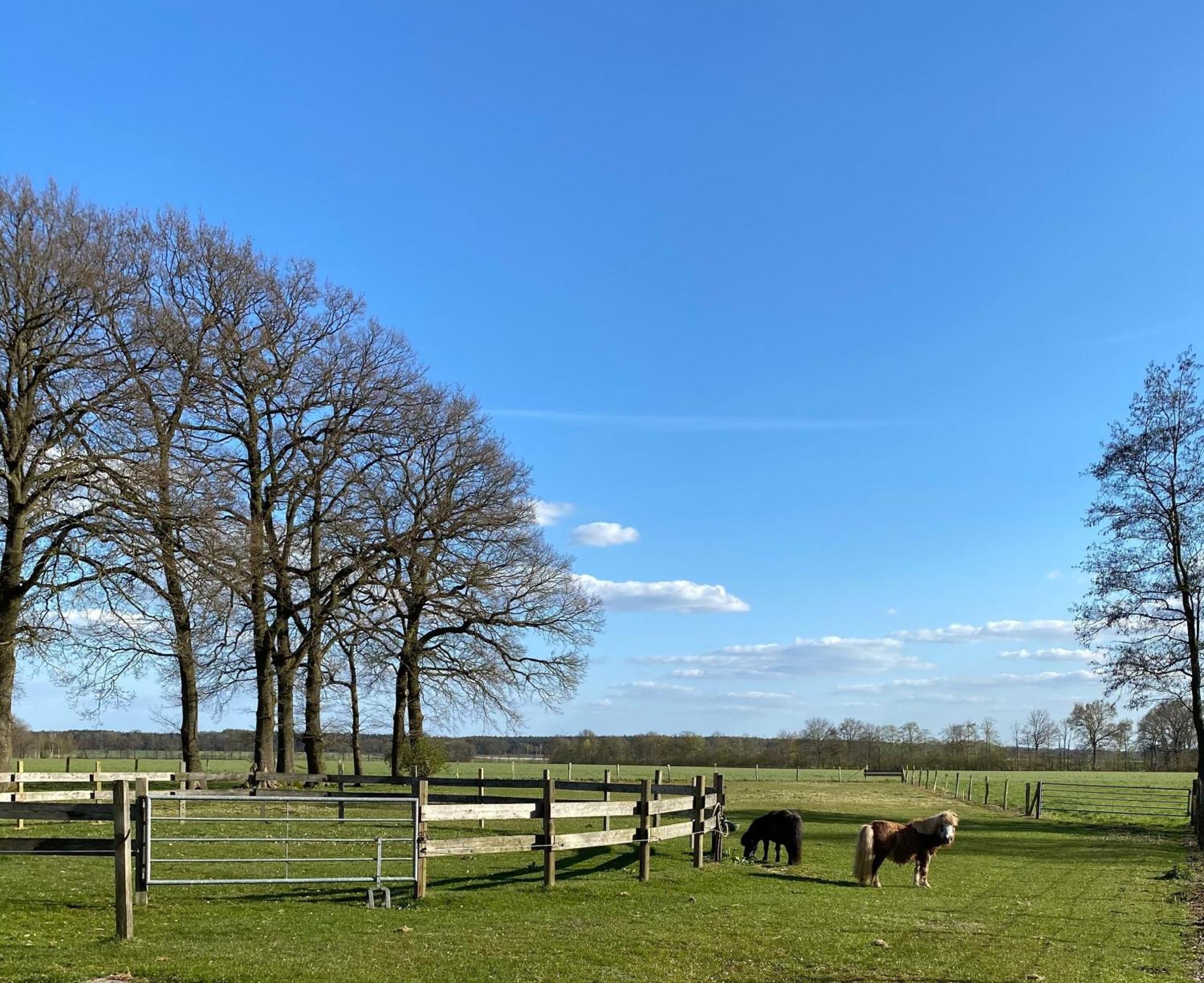 Ferienhof Westermann Waldblick Lähden Kültér fotó